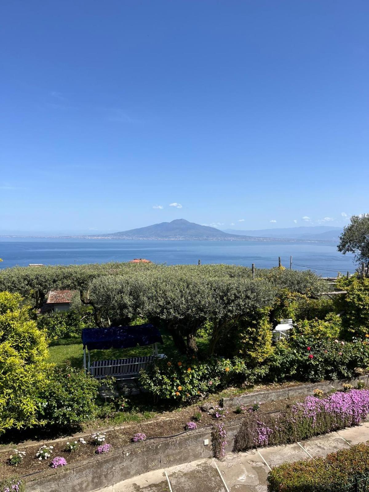 Sorrento Olive Tree Garden Otel Dış mekan fotoğraf