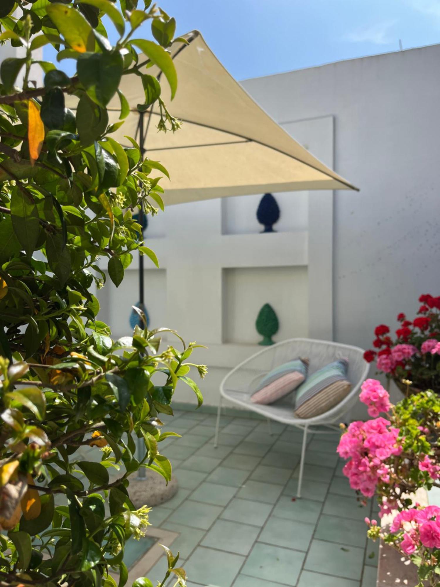 Sorrento Olive Tree Garden Otel Dış mekan fotoğraf