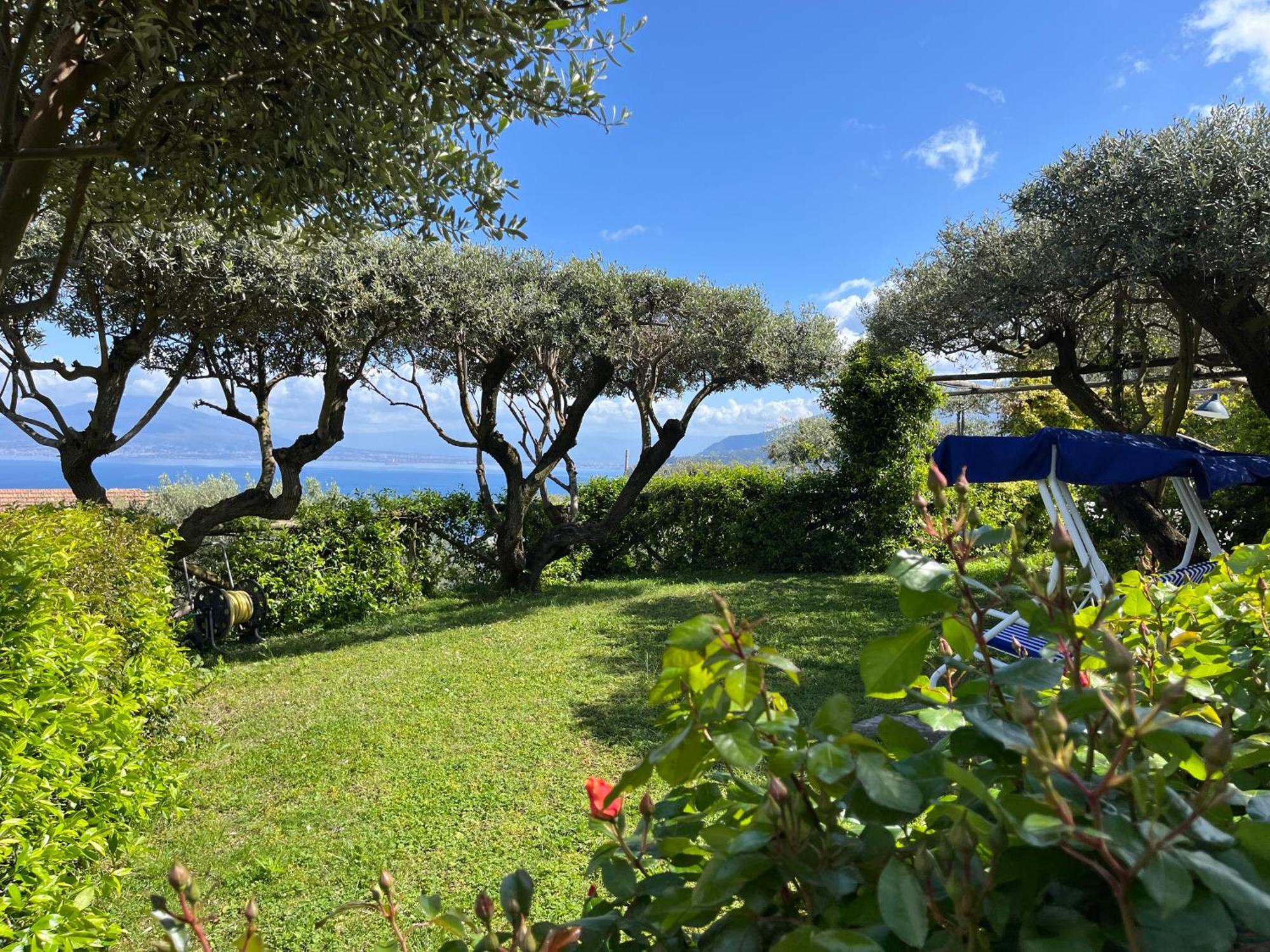 Sorrento Olive Tree Garden Otel Dış mekan fotoğraf