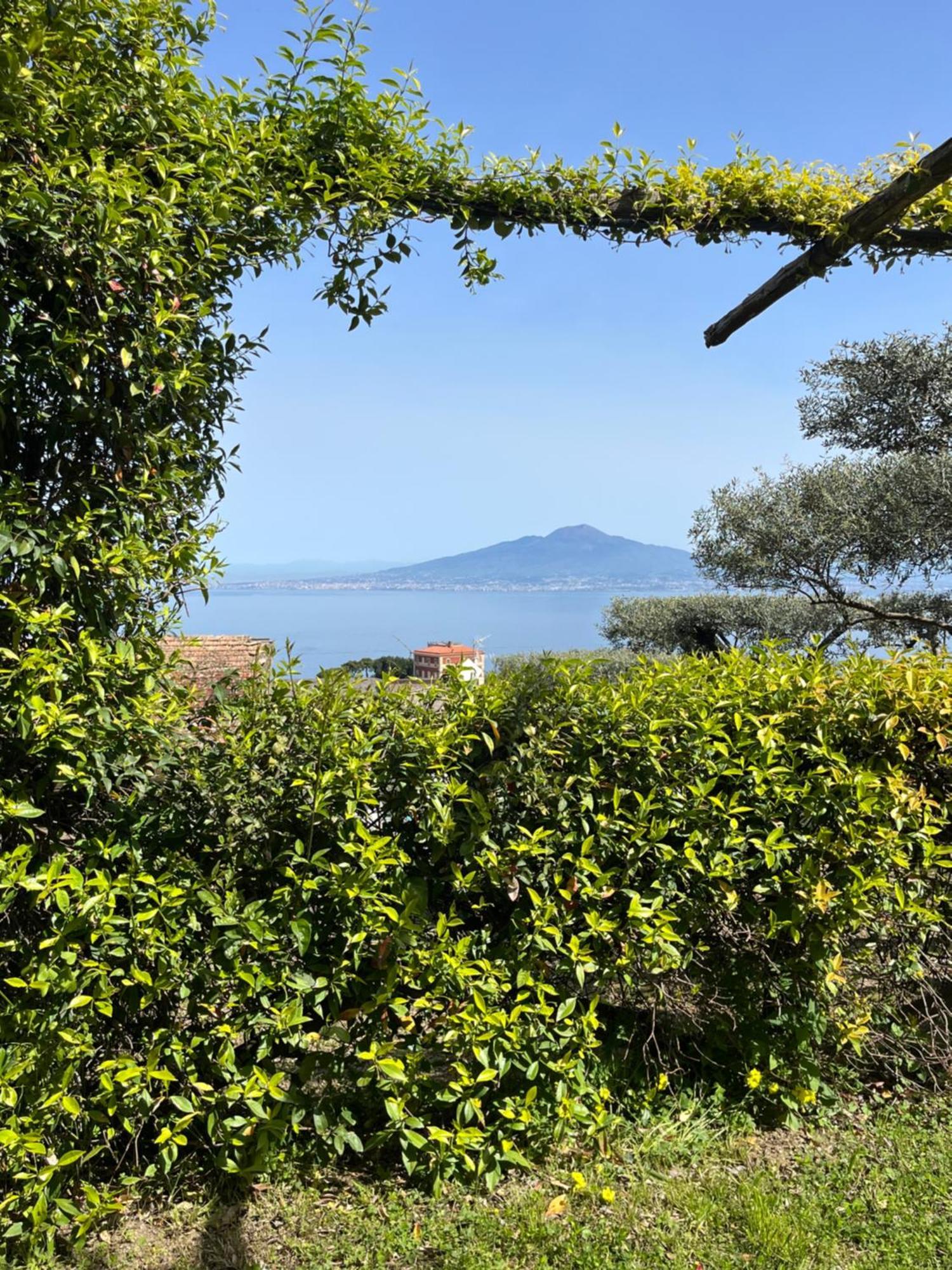 Sorrento Olive Tree Garden Otel Dış mekan fotoğraf